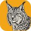 LightCraft app icon