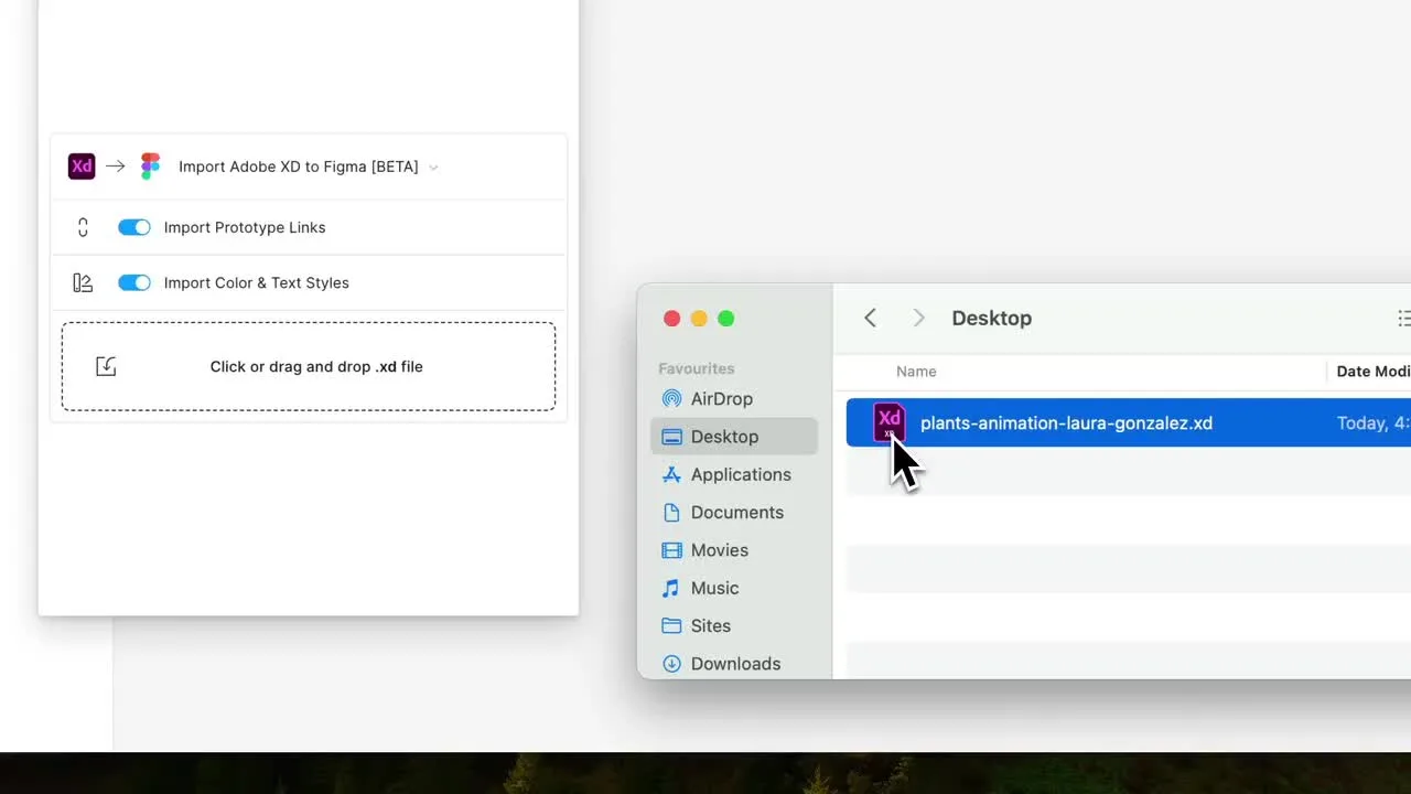 Convertify Adobe XD import preview