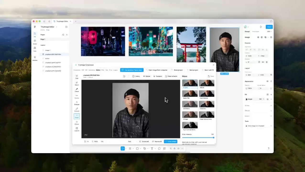 Local Image Editor demonstration in TinyImage