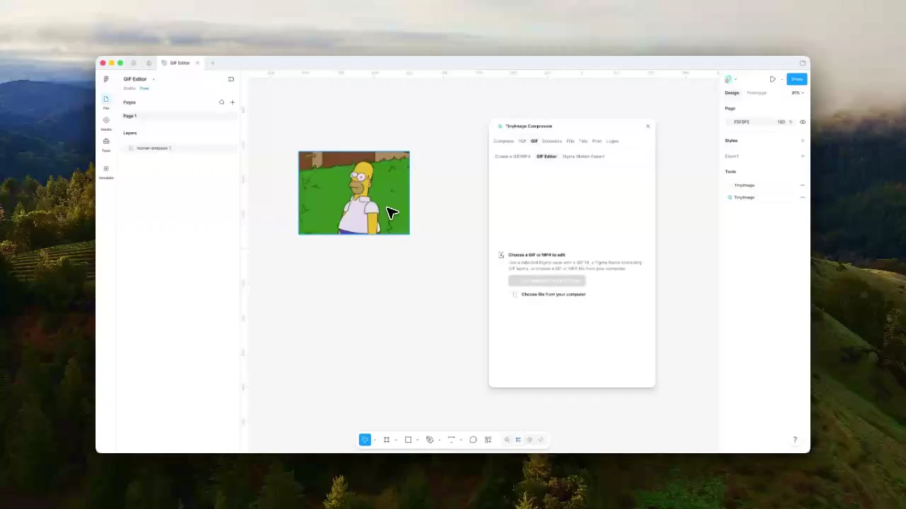 GIF and MP4 editor demonstration in TinyImage