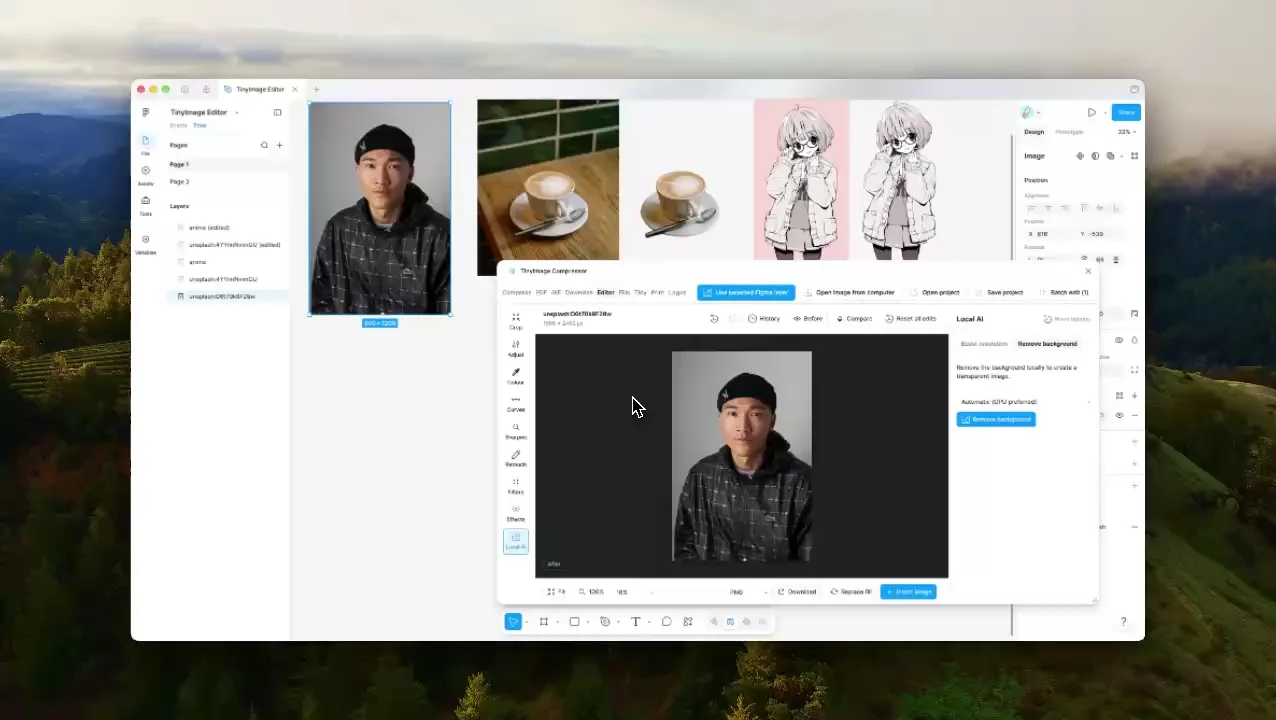 Remove background demonstration in TinyImage